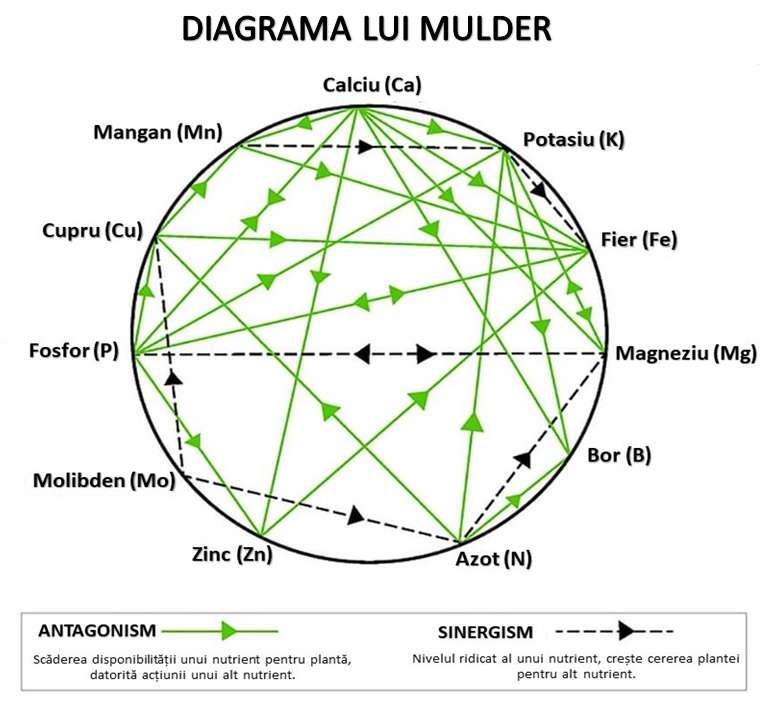Diagrama lui Mulder