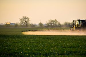 fertilizare foliara cu bor la grau