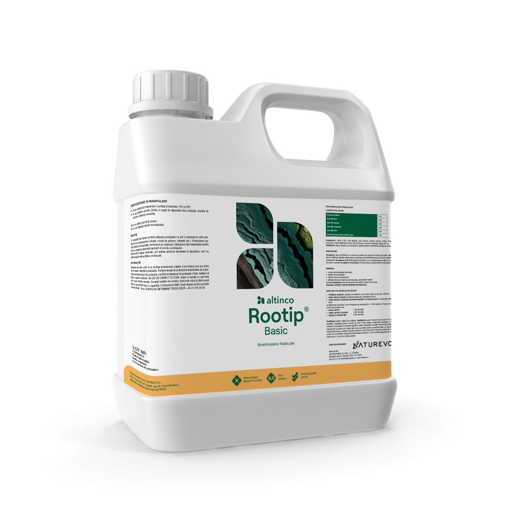 Rootip Basic pentru dezvoltarea aparatului radicular