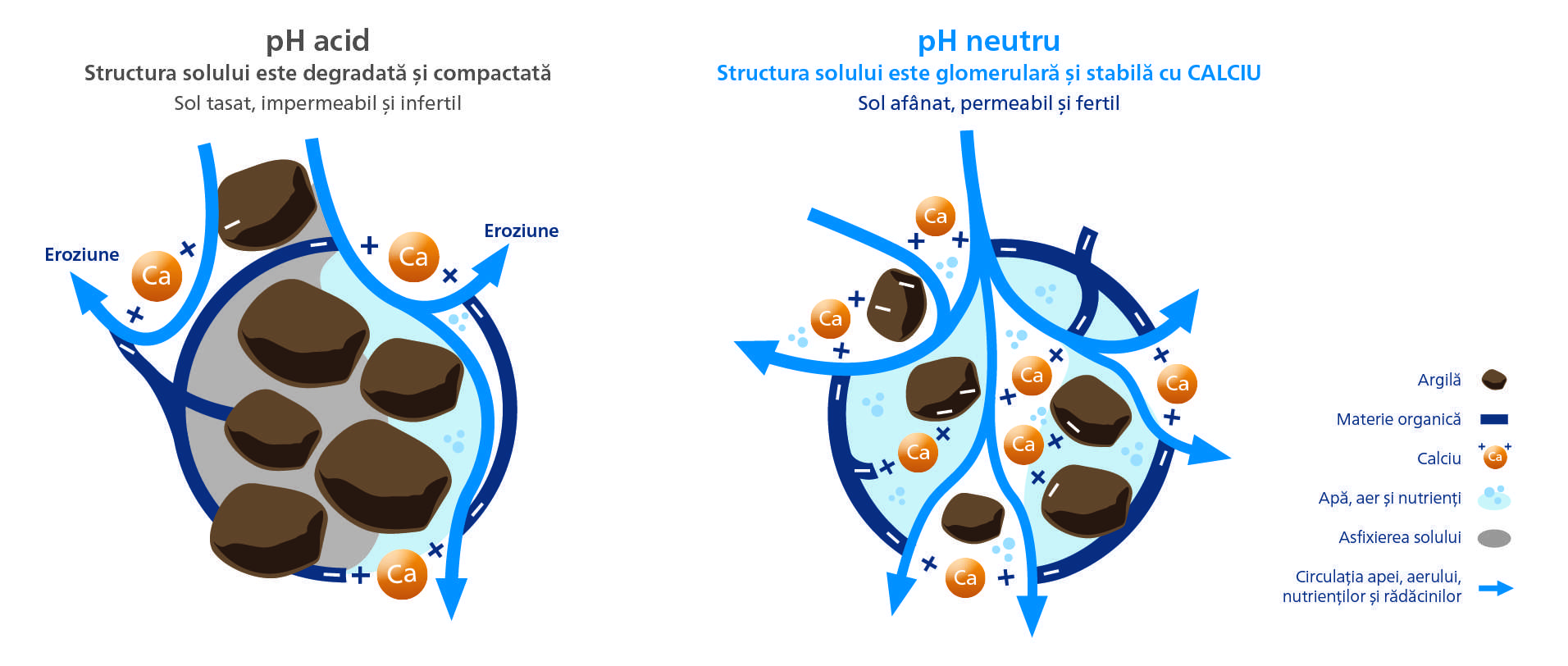 Calciul micronizat care imbunatateste fertilitatea solului