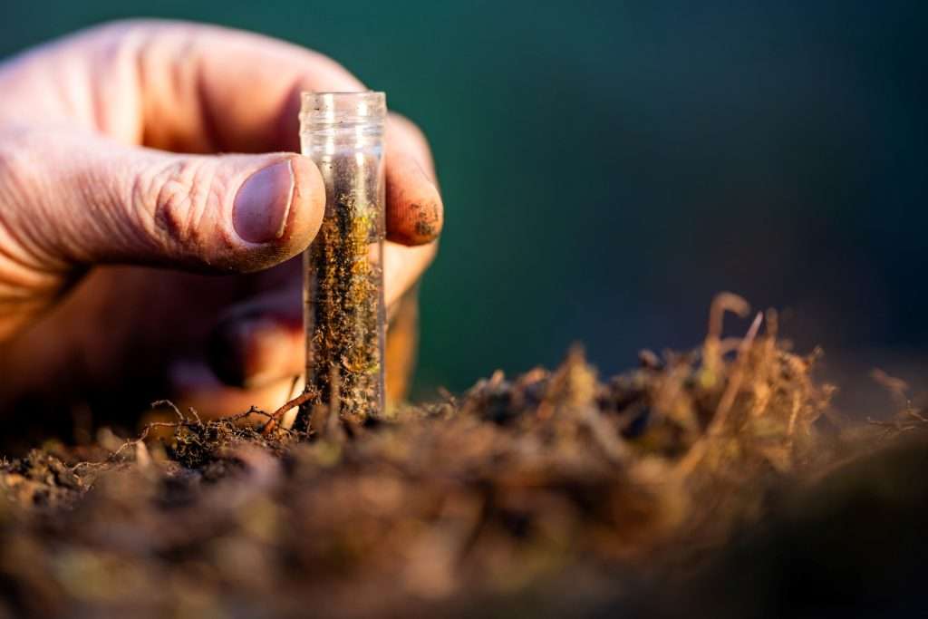 Cum pregatesti solul pentru pomi si vie inainte de iarna