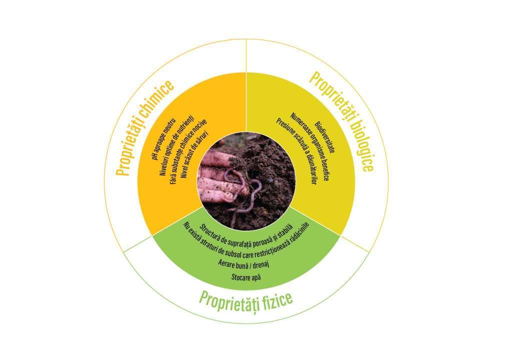 Parametrii fizico chimici ai solului pentru un sol fertil si sanatos