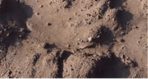 Calciul micronizat care reda fertilitatea solului