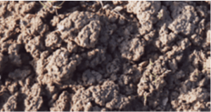 Calciul micronizat care reda fertilitate solului