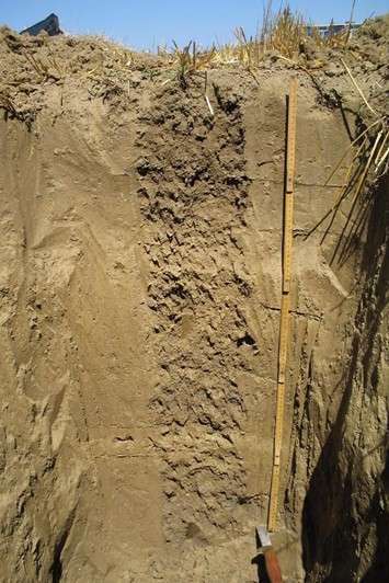 Textura si structura solului. Aluviosoluri