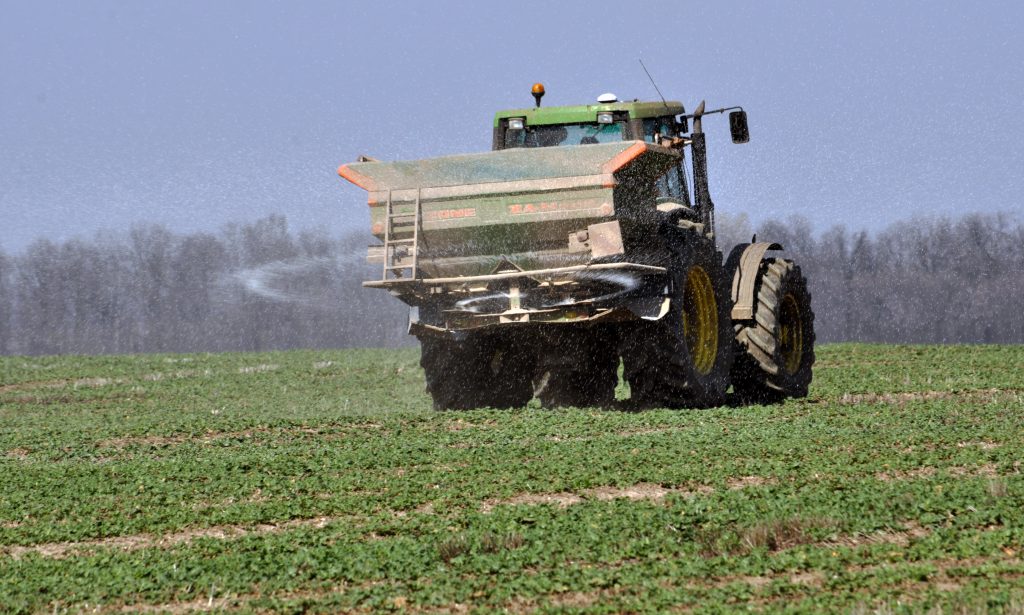 De ce sa fertilizezi culturile cu sulf in primavara