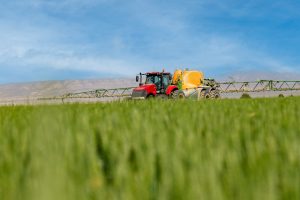 Fertilizarea foliara cu cupru