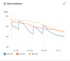 Umiditate sol sensor Vertex