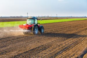 fertilizarea la rapita in toamna
