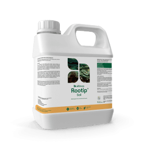 Rootip Soil