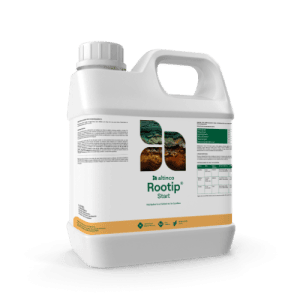Rootip Start