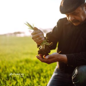 stimulare aparat radicular grau